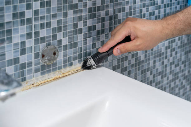 Mold Removal Process in Etowah, TN