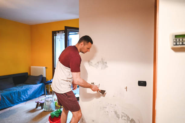 Best Home Mold Removal  in Etowah, TN