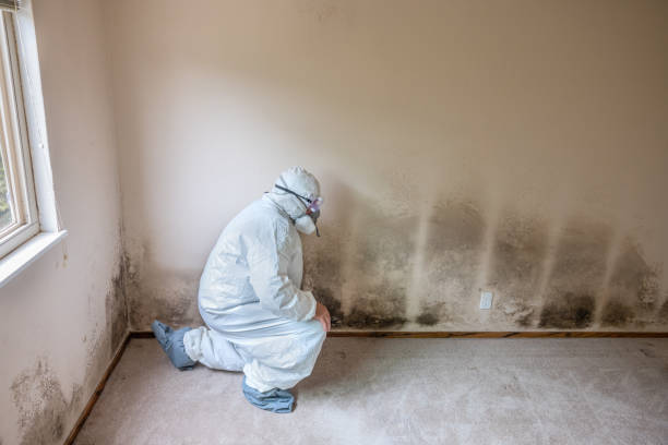 Best Mold Testing  in Etowah, TN